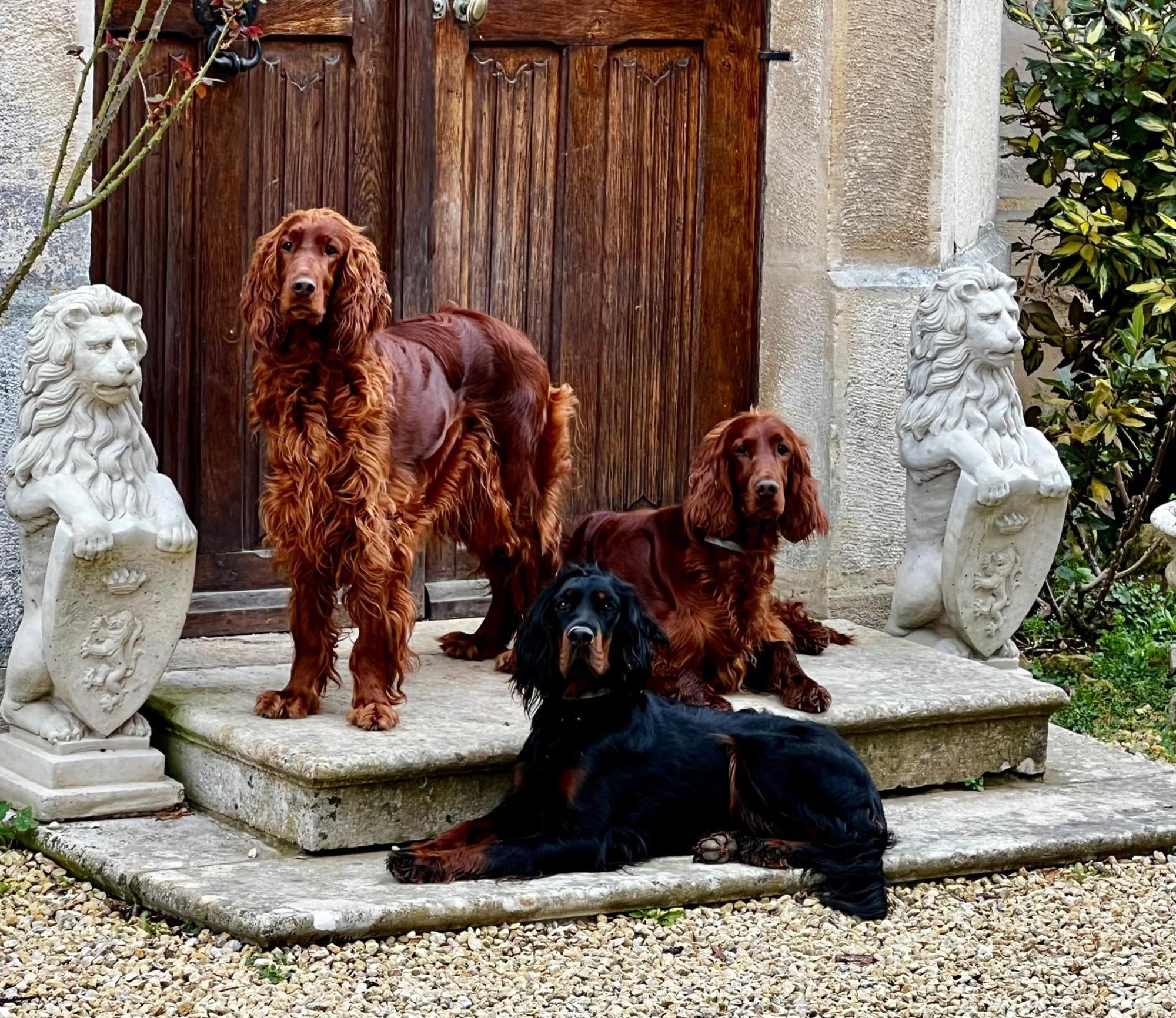 Le Chateau De Leugny Oiron エクステリア 写真